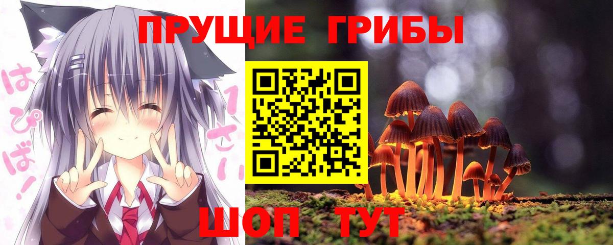 Псилоцибиновые грибы Cubensis  Вход с VPN  Грозный 